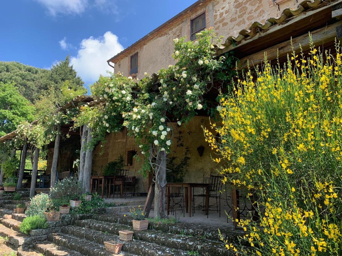 Agriturismo Locanda Settimo Cielo Lubriano 외부 사진