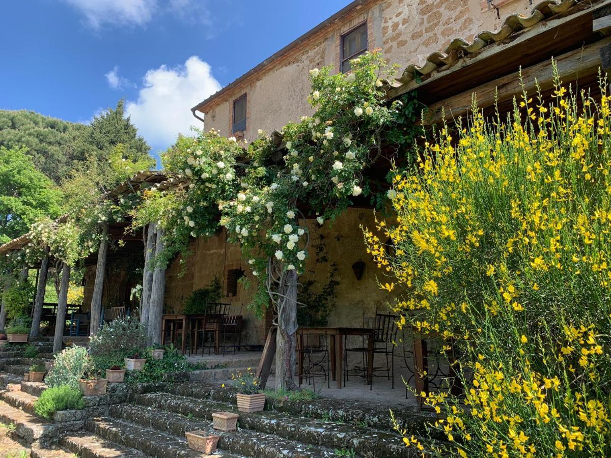 Lubriano Agriturismo Locanda Settimo Cielo 빌라 외부 사진