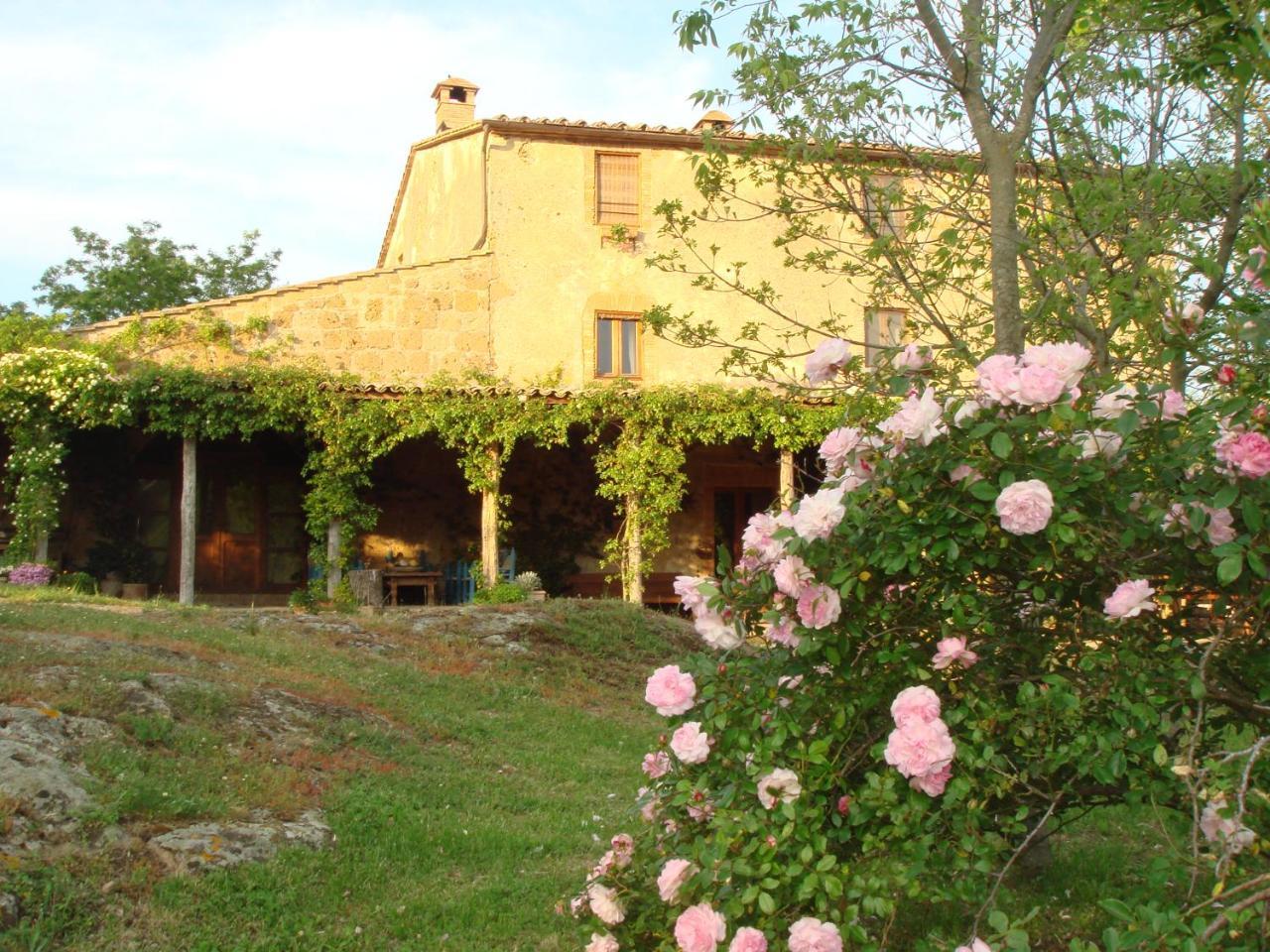 Lubriano Agriturismo Locanda Settimo Cielo 빌라 외부 사진